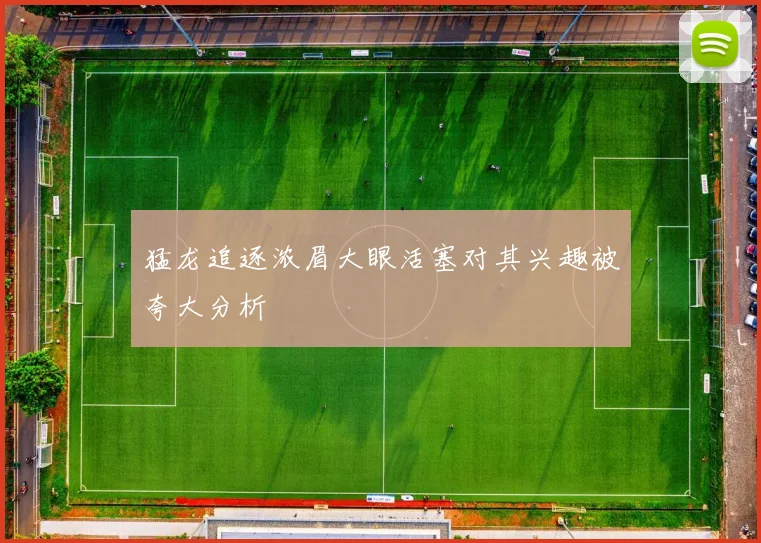 猛龙追逐浓眉大眼活塞对其兴趣被夸大分析